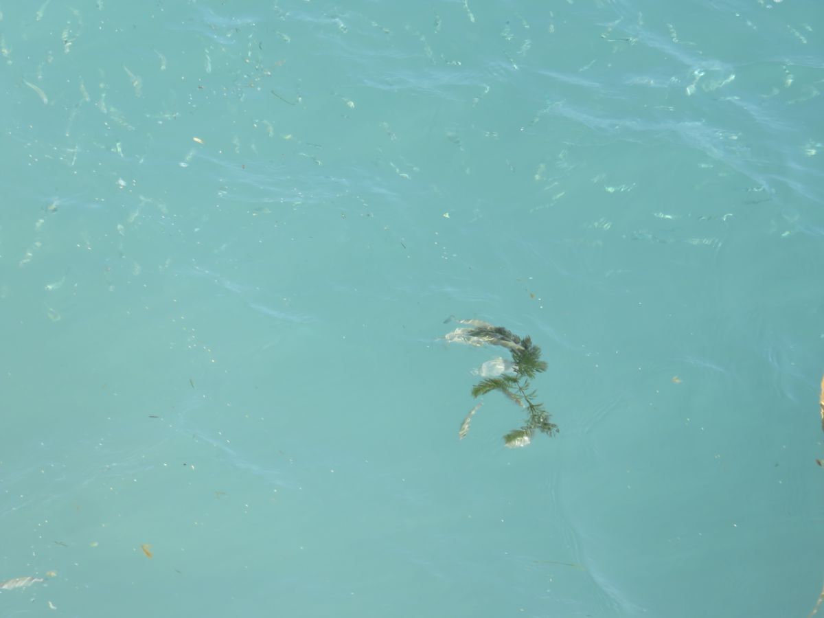 imagini hotel Hilton Sarigerme